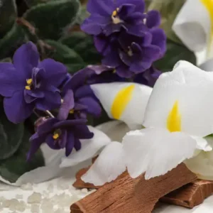 Аромаолія White Orris and Sandalwood (Білий ірис та сандал)