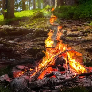 Аромаолія Bonfire Embers (Вугілля багаття)