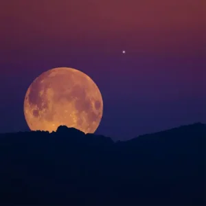 Аромаолія Harvest Moon (Жнивий місяць)