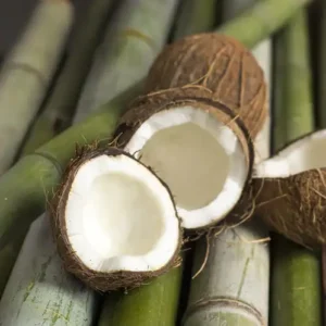 Аромаолія Bamboo and Coconut (Бамбук та кокос)
