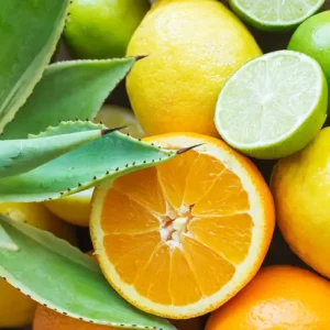 Аромаолія Citrus Agave (Агава цитрусова)