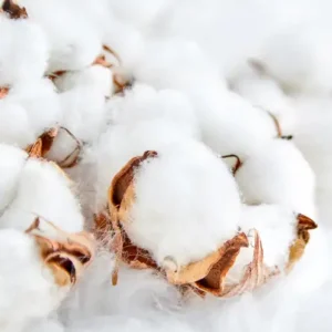 Аромаолія Clean Cotton (Чиста бавовна)