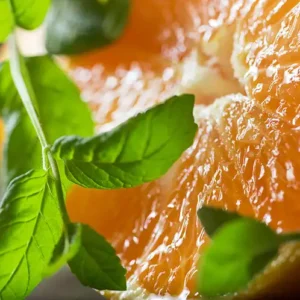 Аромаолія Watermint and Clementine (Мʼята та клементин)