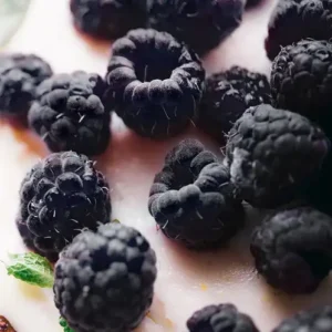 Аромаолія Black Raspberry Vanilla (Чорна малина ваніль)