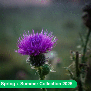 Аромаолія Meadow Thistle (Польовий чортополох)