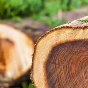 Аромаолія Cedar Element (Кедр) - моноаромат