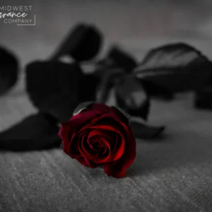 Аромаолія Dark Kiss (Темний поцілунок)