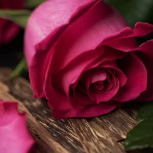 Аромаолія Rose and Oud (Троянда та Уд)